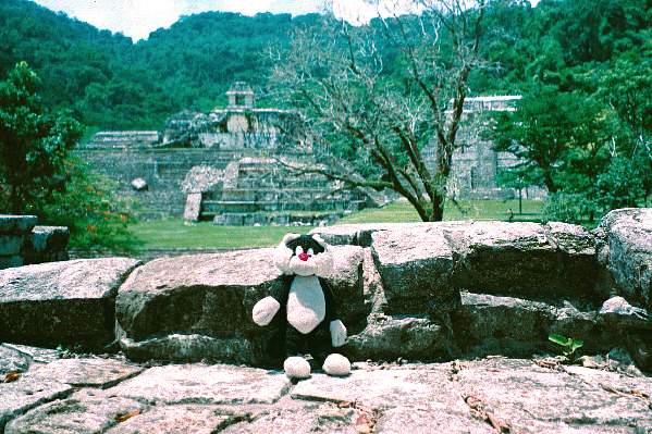 Palenque, Mex