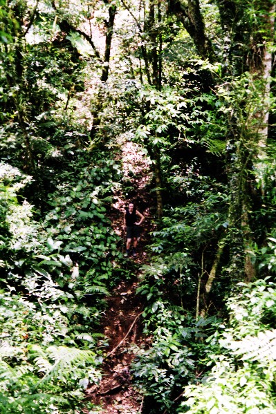 Salva Negra, Nicaragua