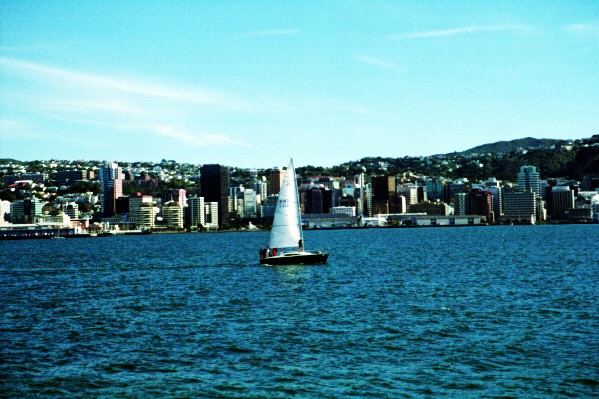 Windy Wellington harbour